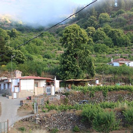 Вилла Finca El Cole Лас-Пальмас-де-Гран-Канария Экстерьер фото
