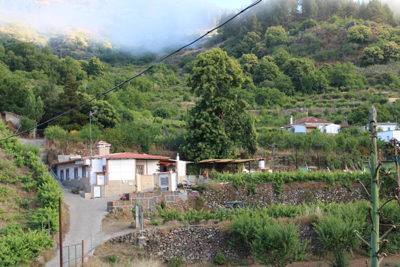 Вилла Finca El Cole Лас-Пальмас-де-Гран-Канария Экстерьер фото