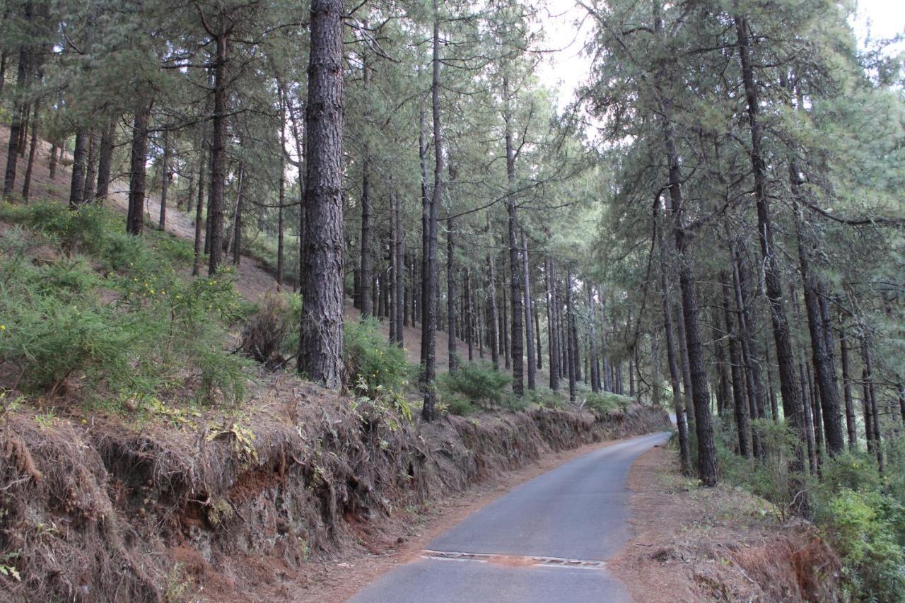Вилла Finca El Cole Лас-Пальмас-де-Гран-Канария Экстерьер фото