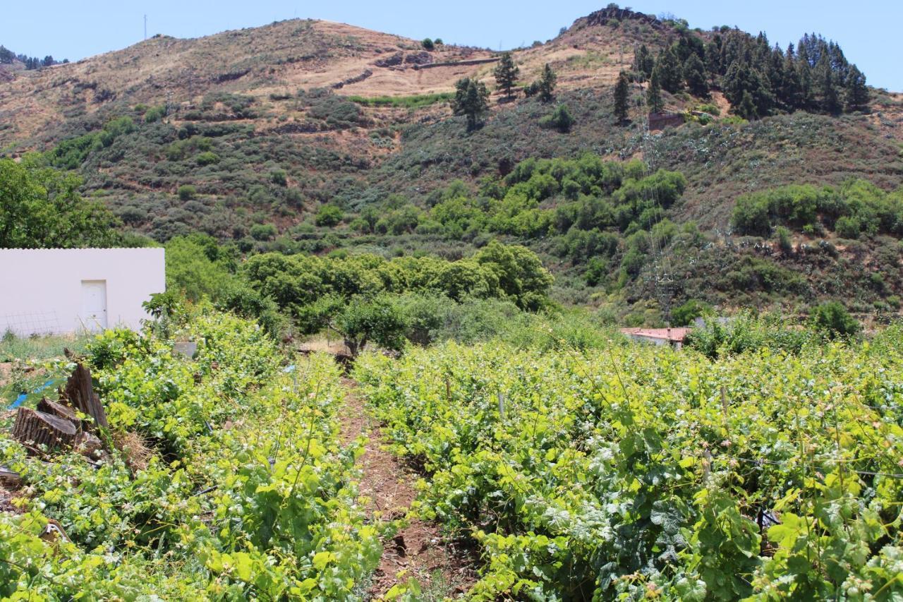 Вилла Finca El Cole Лас-Пальмас-де-Гран-Канария Экстерьер фото