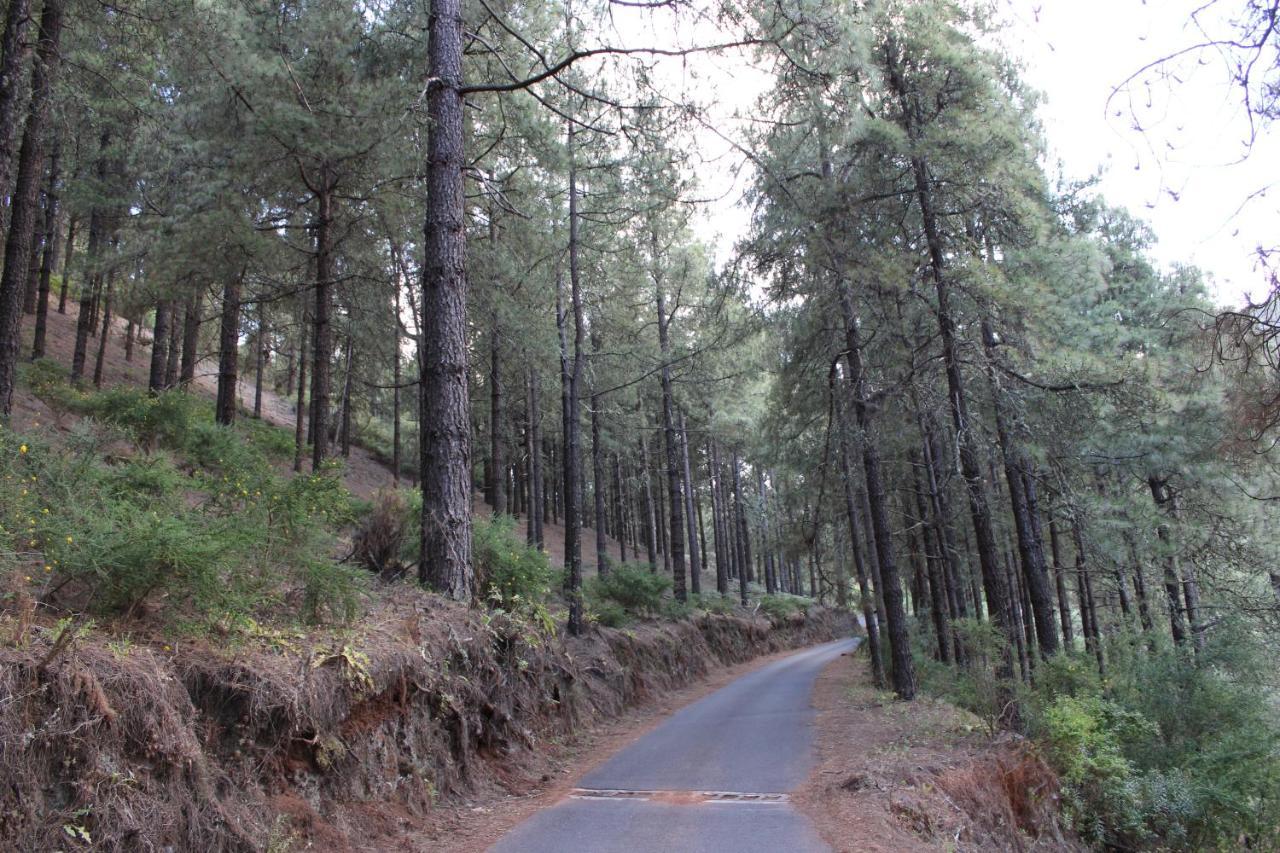 Вилла Finca El Cole Лас-Пальмас-де-Гран-Канария Экстерьер фото