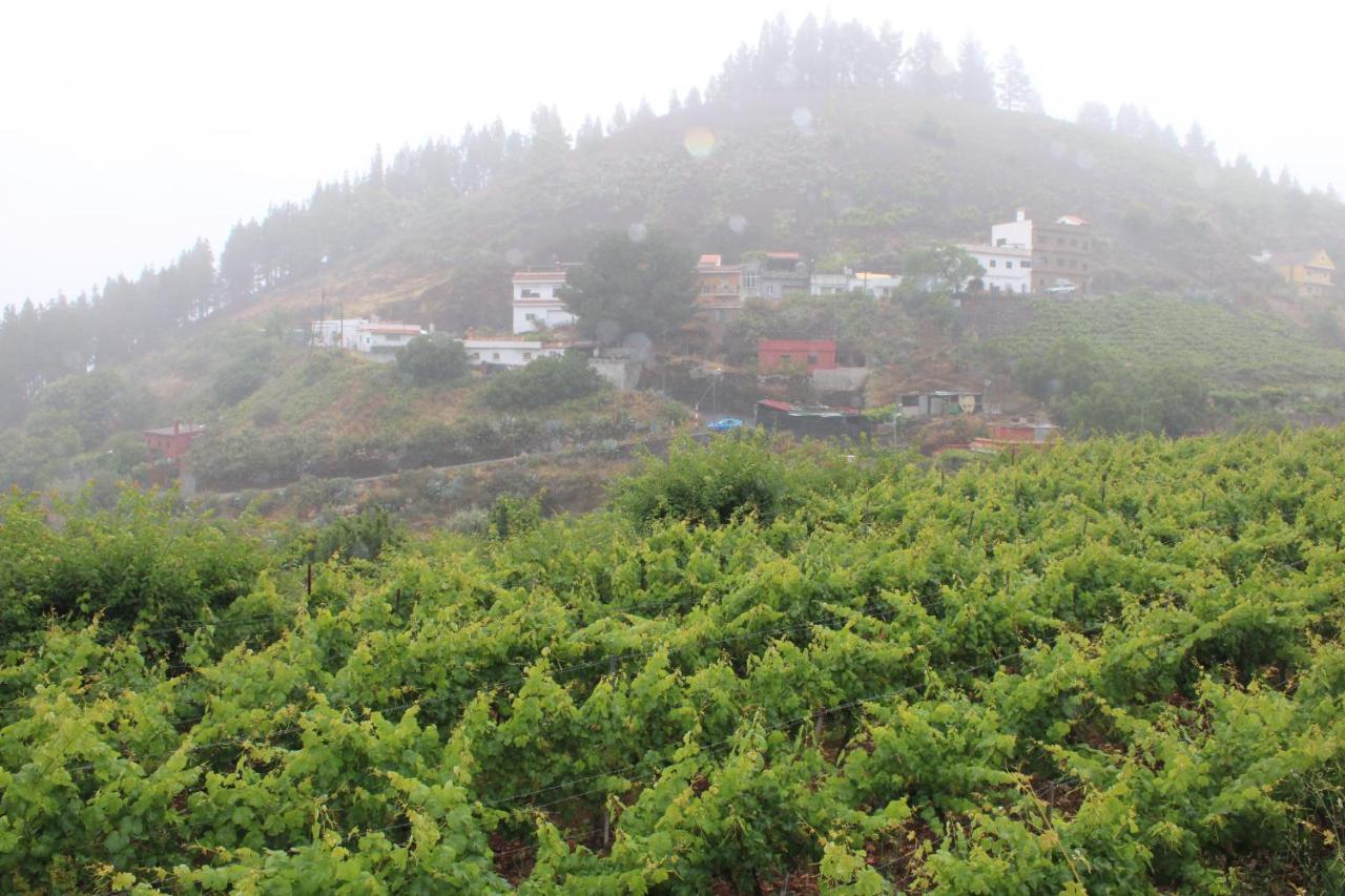 Вилла Finca El Cole Лас-Пальмас-де-Гран-Канария Экстерьер фото
