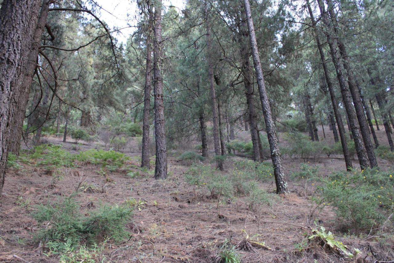 Вилла Finca El Cole Лас-Пальмас-де-Гран-Канария Экстерьер фото
