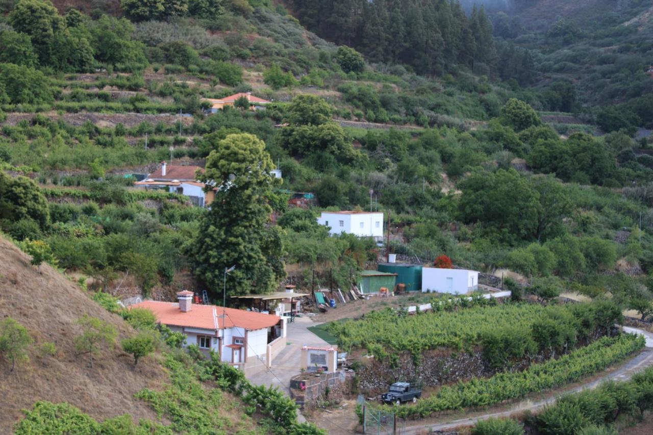 Вилла Finca El Cole Лас-Пальмас-де-Гран-Канария Экстерьер фото